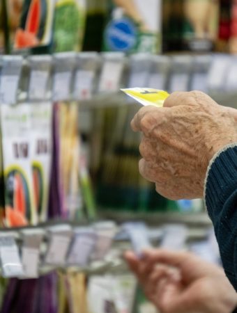 The $10 Seed Packet Strategy That Can Stretch a Grocery Budget for Months