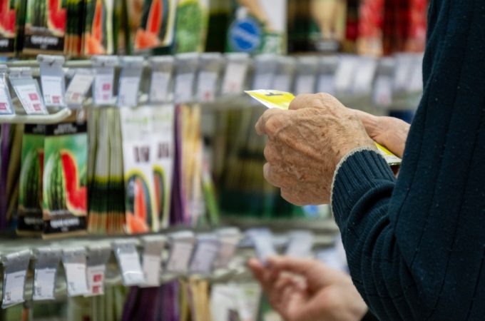 The $10 Seed Packet Strategy That Can Stretch a Grocery Budget for Months