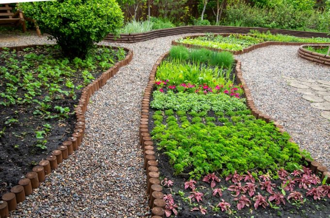 Foraging Gardens: RHS Says Plant Borage, Sorrel and Herbs You Can Eat Straight from the Yard