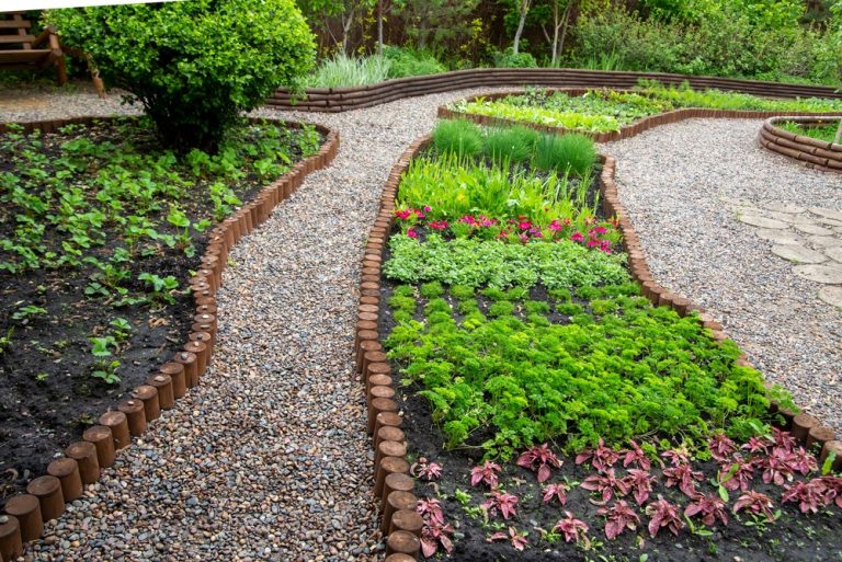 Foraging Gardens: RHS Says Plant Borage, Sorrel and Herbs You Can Eat Straight from the Yard