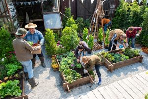 How to Start a Community Garden Without Wasting Money on the Wrong Setup