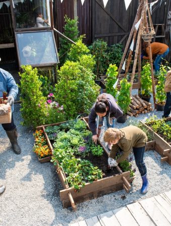 How to Start a Community Garden Without Wasting Money on the Wrong Setup