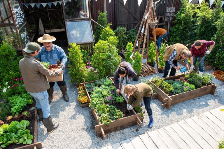 How to Start a Community Garden Without Wasting Money on the Wrong Setup