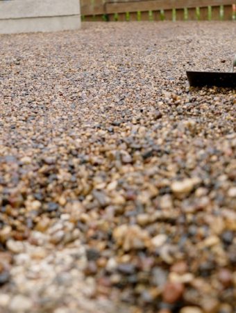 6 Plants That Make a Gravel Garden Look Lush