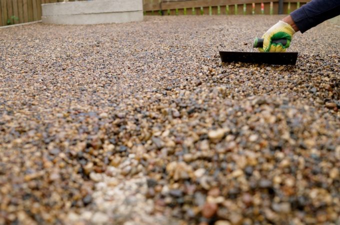 6 Plants That Make a Gravel Garden Look Lush