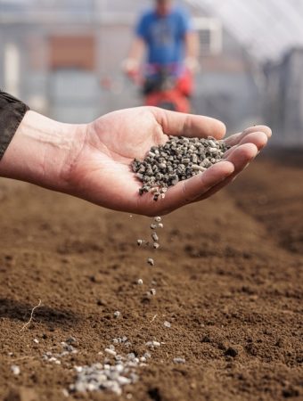 When Midseason Fertilizer Helps—and When It Burns Stressed Plants