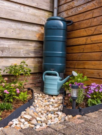Turn Rain Barrels into Low-Tech Irrigation by “Puncturing” Them—Let Water Drip Slowly to Plant Roots