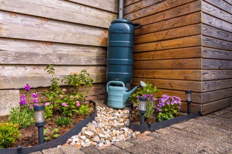 Turn Rain Barrels into Low-Tech Irrigation by “Puncturing” Them—Let Water Drip Slowly to Plant Roots
