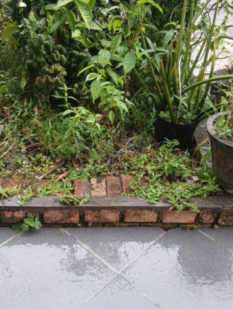 Why Do Some Garden Beds Stay Wet Long After a Storm?