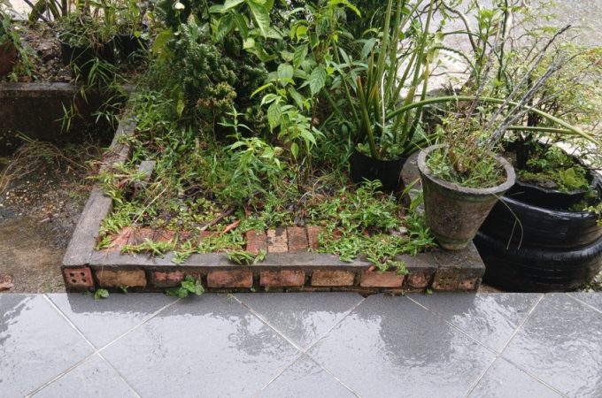 Why Do Some Garden Beds Stay Wet Long After a Storm?
