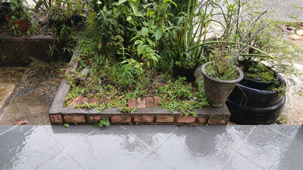 Why Do Some Garden Beds Stay Wet Long After a Storm?