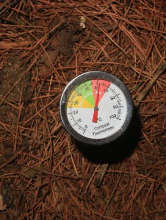 Is It Safe to Compost Plants With Powdery Mildew?