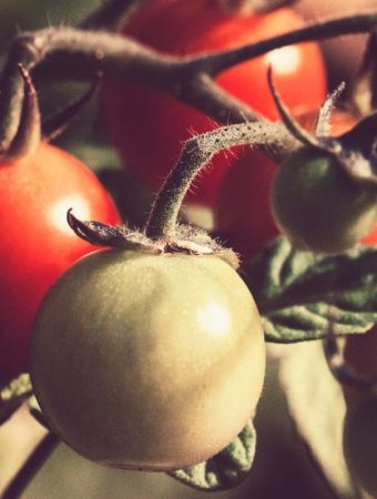 6 Crops That Benefit From Cooler Nights More Than Cooler Days