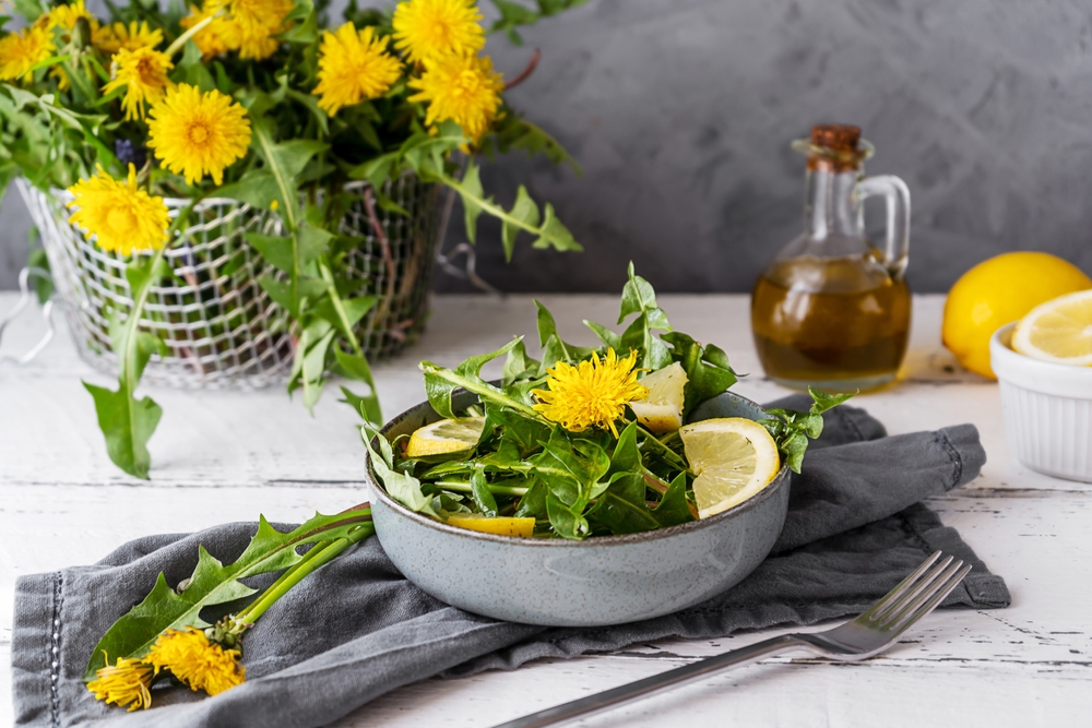 Why Are More Gardeners Treating Dandelions as Edible Crops?