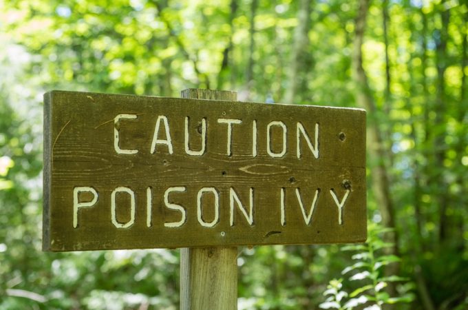 Poison Ivy Isn’t the Only Plant Gardeners Should Learn to Recognize