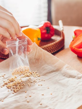 6 Ways to Save Seeds Without Ruining Next Year's Germination