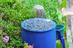 How to Reuse Rainwater Without Creating a Mosquito Problem