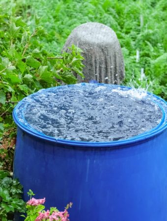 How to Reuse Rainwater Without Creating a Mosquito Problem