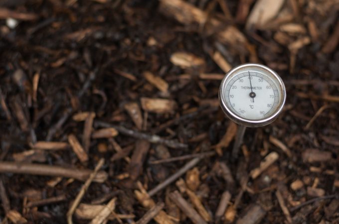 Should You Compost Diseased Plants? The Answer Depends on How Hot Your Pile Gets