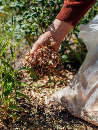 7 Frugal Garden Projects to Finish Before Daylight Shrinks