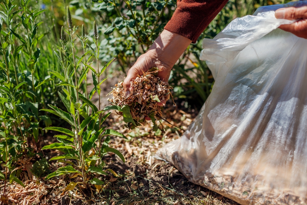 7 Frugal Garden Projects to Finish Before Daylight Shrinks