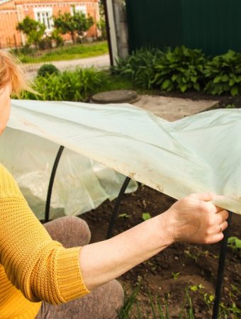 6 Crops That Can Grow Beneath a Simple Low Tunnel
