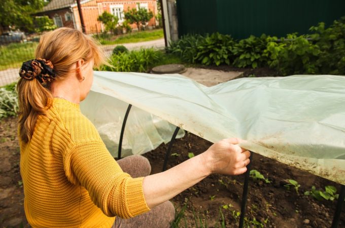 6 Crops That Can Grow Beneath a Simple Low Tunnel