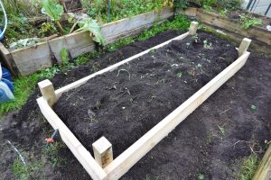 5 Ways to Build a Temporary Nursery Bed for Bargain Perennials