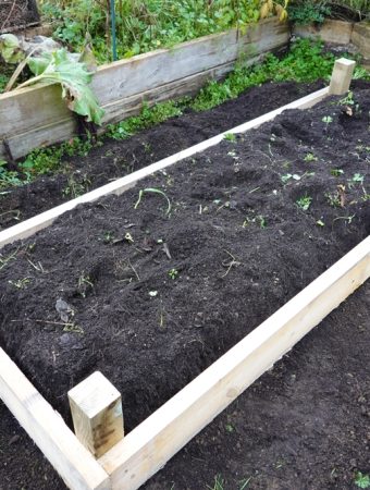 5 Ways to Build a Temporary Nursery Bed for Bargain Perennials