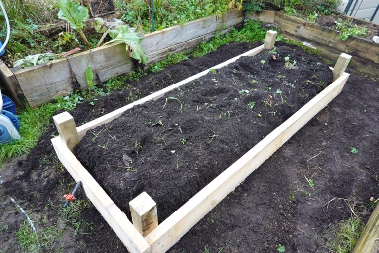5 Ways to Build a Temporary Nursery Bed for Bargain Perennials