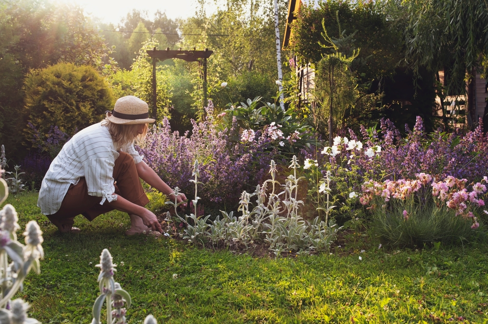 7 Late-Summer Garden Checks That Can Prevent Winter Damage