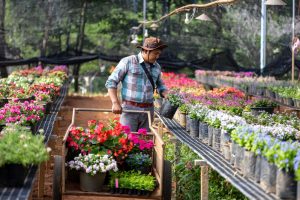 A Practical Guide to Garden Purchases That Are Usually Cheaper After Peak Season