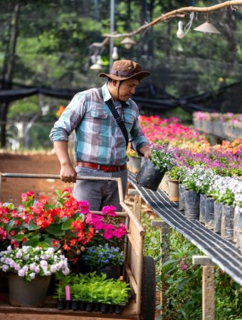 A Practical Guide to Garden Purchases That Are Usually Cheaper After Peak Season