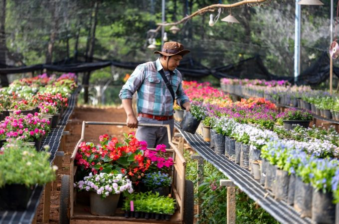 A Practical Guide to Garden Purchases That Are Usually Cheaper After Peak Season