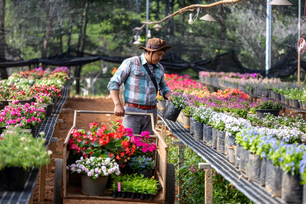 A Practical Guide to Garden Purchases That Are Usually Cheaper After Peak Season