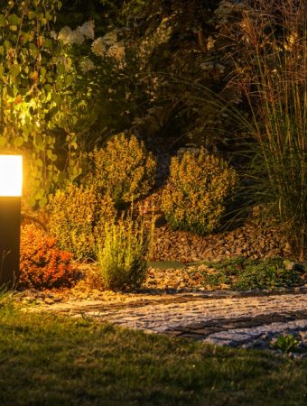 Why Are More Gardeners Designing Around Evening Use?
