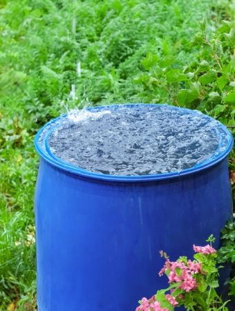 6 Gutter-Free Ways to Catch Rainwater From a Garden Shed