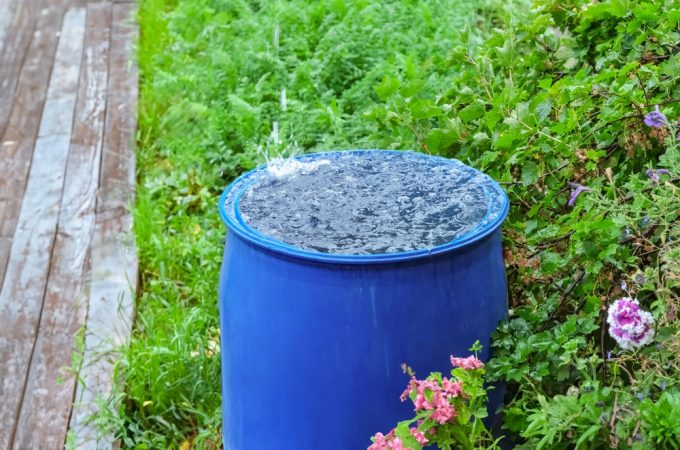 6 Gutter-Free Ways to Catch Rainwater From a Garden Shed