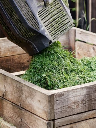 6 Ways to Use August Garden Clippings Without Sending Them to the Curb