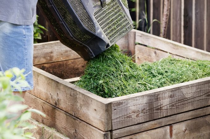 6 Ways to Use August Garden Clippings Without Sending Them to the Curb