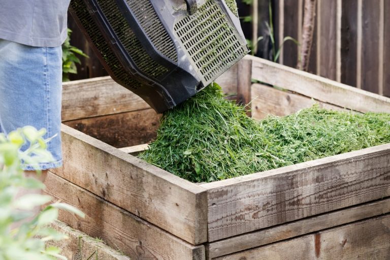 6 Ways to Use August Garden Clippings Without Sending Them to the Curb