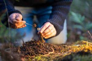 6 Soil Tests Worth Doing Before You Buy Fall Fertilizer