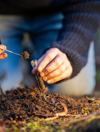 6 Soil Tests Worth Doing Before You Buy Fall Fertilizer