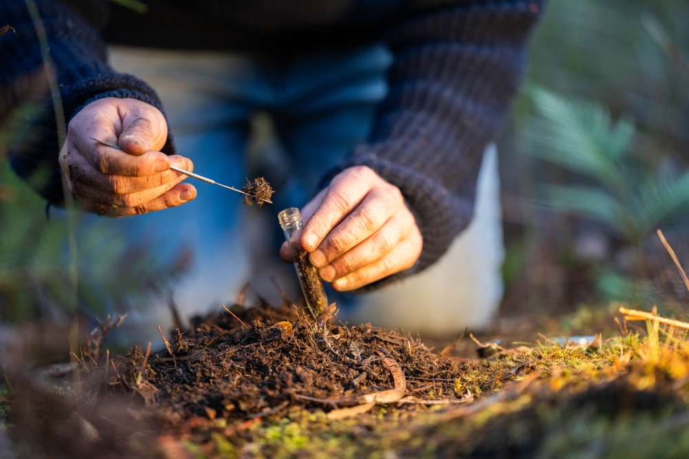6 Soil Tests Worth Doing Before You Buy Fall Fertilizer