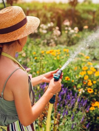 5 Ways to Reduce Plant Losses During Late-Summer Travel