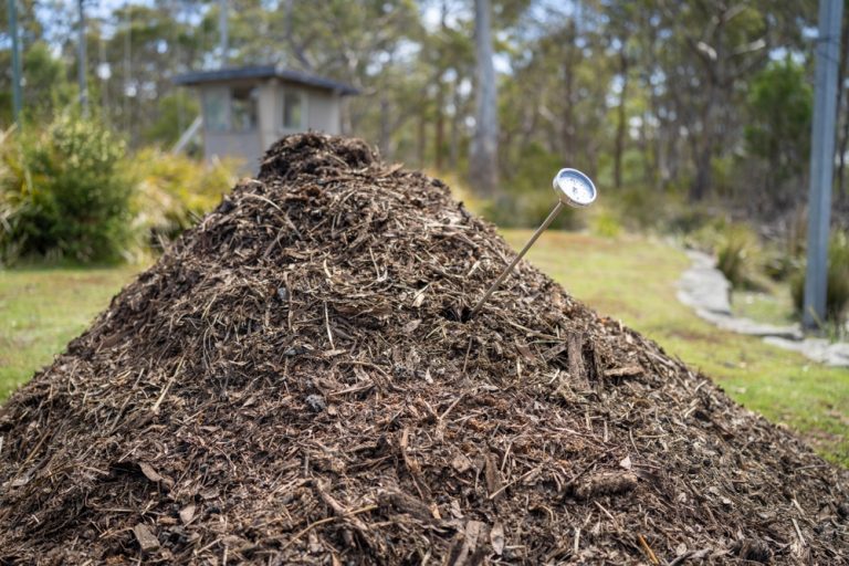 What Is the Best Way to Cool Down Hot Compost?