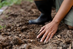 Should You Keep Watering Your Garden the Same Way Once September Arrives?