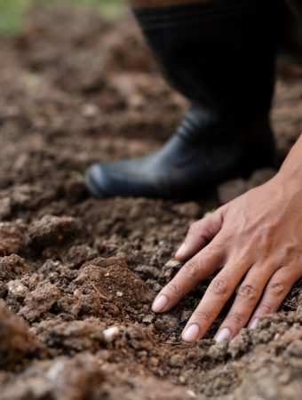 Should You Keep Watering Your Garden the Same Way Once September Arrives?