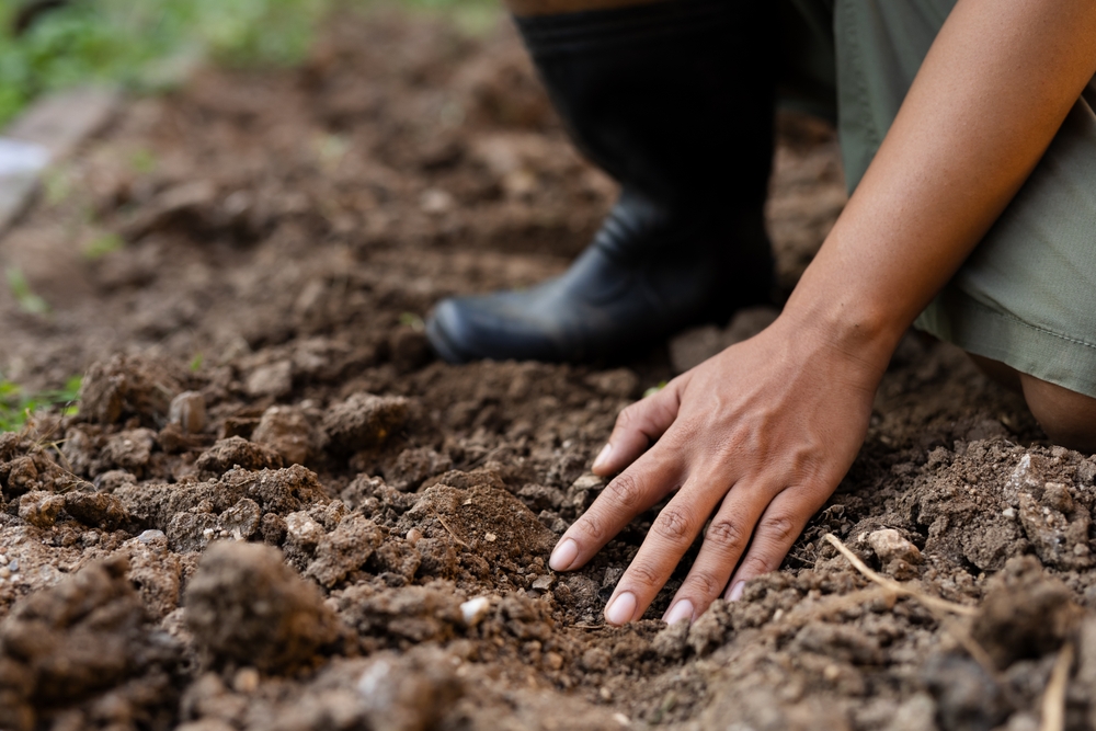 Should You Keep Watering Your Garden the Same Way Once September Arrives?
