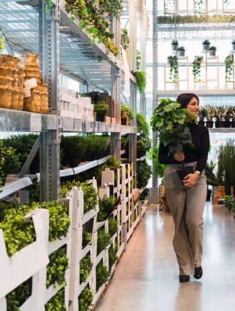 A Closer Look at Garden Supplies Worth Buying at End-of-Season Clearance